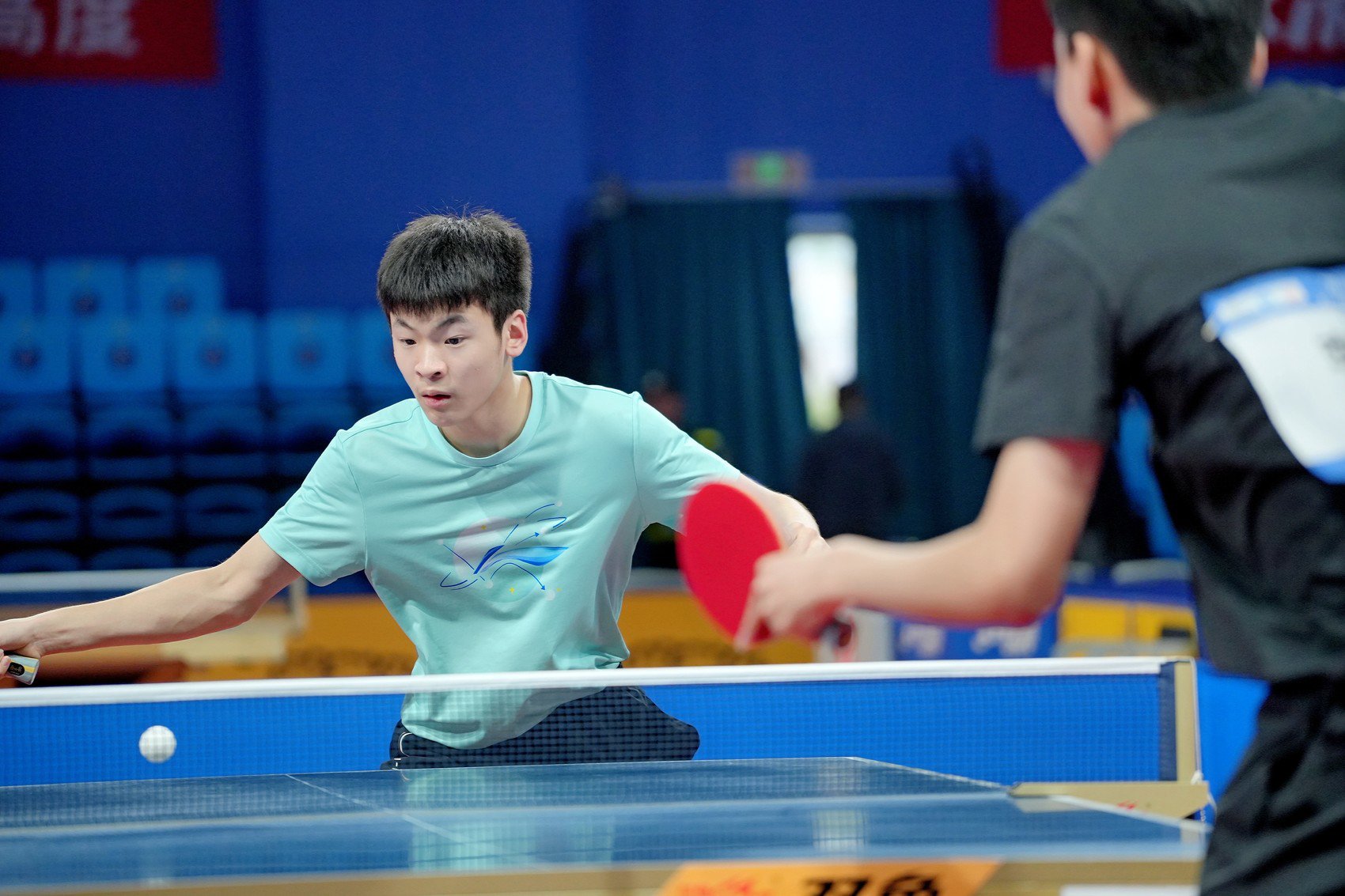 乒乓比賽最新動(dòng)態(tài)與成長(zhǎng)指南，一步步成為乒乓高手之路