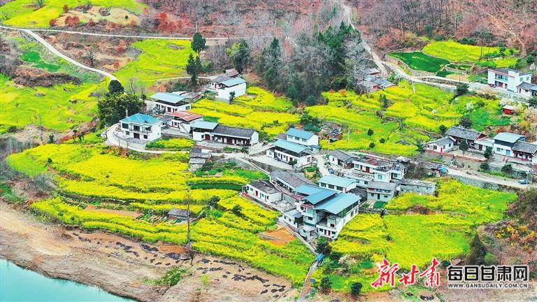 揭秘文縣，歷史背景、重大事件與時(shí)代地位全景展示