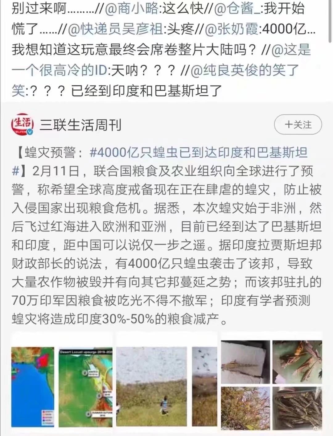 蝗蟲最新動態(tài)，防治與監(jiān)測的全面指南