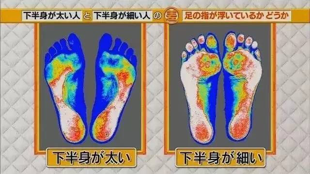 最新地趾論述，探索、爭議與觀點綜述