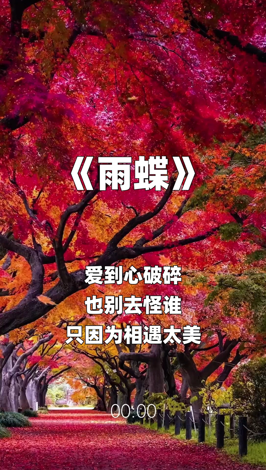 雨蝶最新步驟指南，如何完成任務(wù)或?qū)W習(xí)技能？