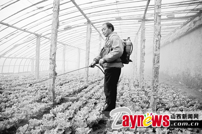 最新農(nóng)藥抽檢結(jié)果出爐，守護農(nóng)田安全，你我他的共同責(zé)任