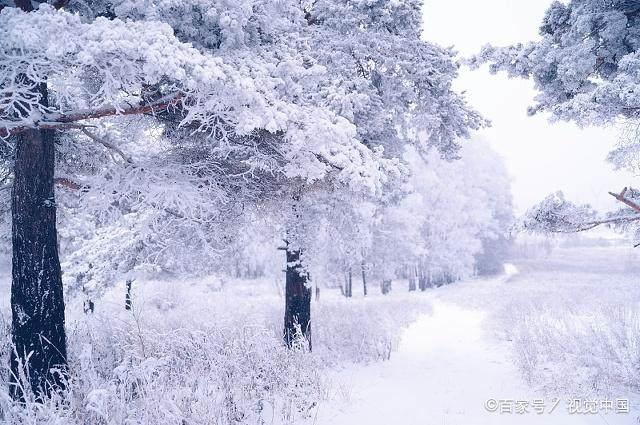 冬日暖陽(yáng)下的溫馨日常，最新冬美文精選