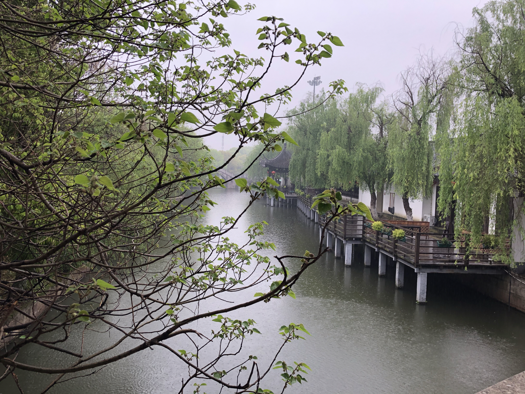 江南煙雨最新，自信與成就感的成長之旅