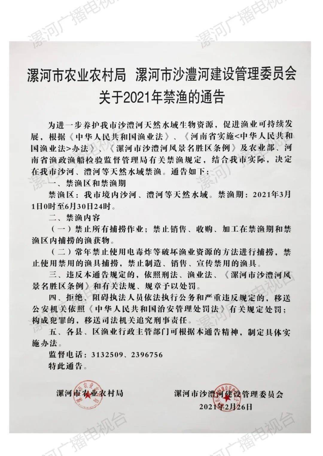 漯河最新通告，探索自然美景，尋覓內(nèi)心寧靜與平和之旅