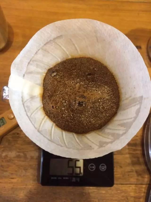 最新萃取法詳解，步驟指南與操作技巧