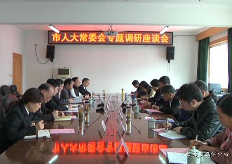 安徽歙縣最新動(dòng)態(tài)，小巷深處的驚喜