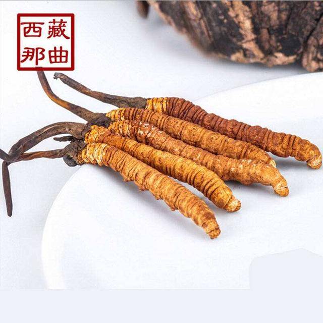 揭秘2025年蟲草最新價格，探尋小巷中的秘密行情！