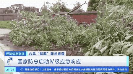 超強(qiáng)臺風(fēng)鸚鵡來襲，最新路徑動態(tài)全解析???