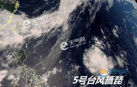 最新實(shí)時(shí)臺(tái)風(fēng)風(fēng)力查詢指南，風(fēng)力信息及查詢步驟全解析