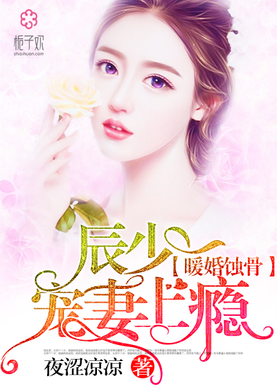 陸少寵上癮最新動態(tài)，日常趣事與真摯友情的獨(dú)特魅力